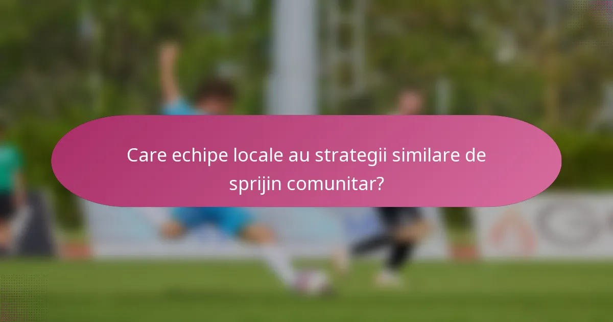 Care echipe locale au strategii similare de sprijin comunitar?