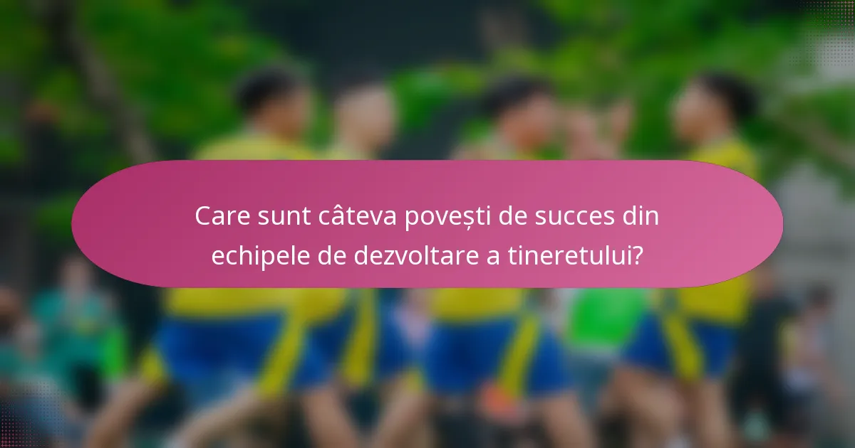 Care sunt câteva povești de succes din echipele de dezvoltare a tineretului?