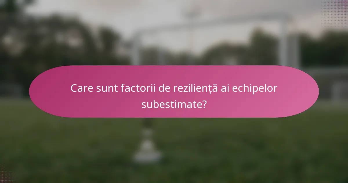 Care sunt factorii de reziliență ai echipelor subestimate?