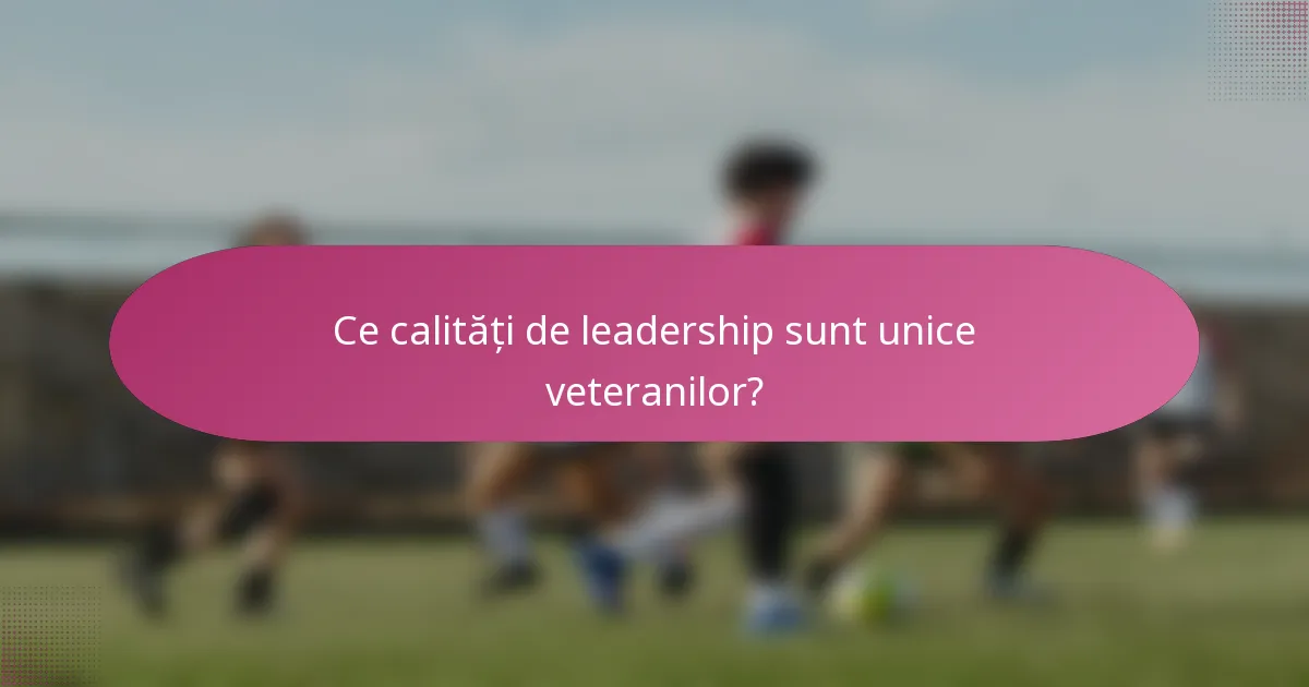 Ce calități de leadership sunt unice veteranilor?