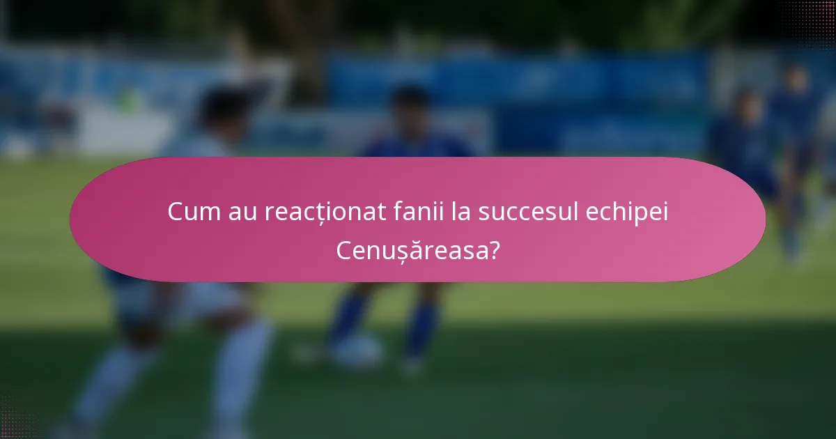 Cum au reacționat fanii la succesul echipei Cenușăreasa?