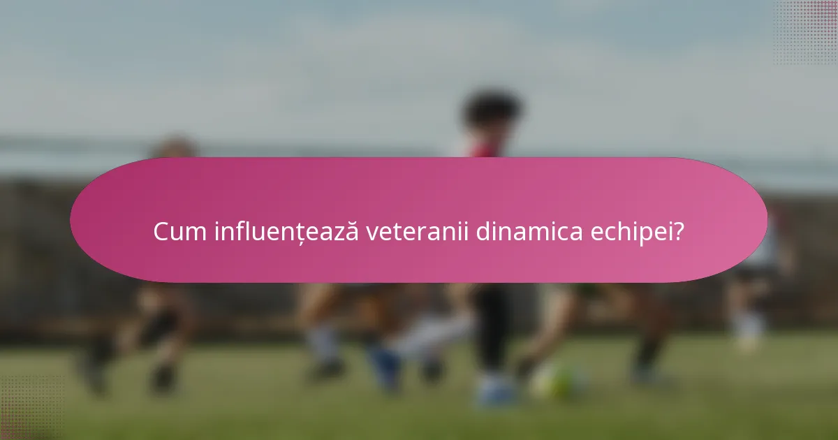 Cum influențează veteranii dinamica echipei?
