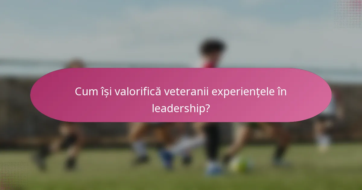 Cum își valorifică veteranii experiențele în leadership?
